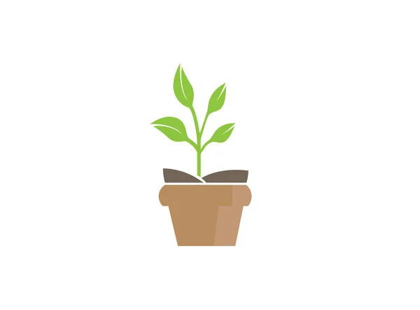 Plant Eenvoudig Pictogram Geïsoleerd Witte Achtergrond — Stockvector