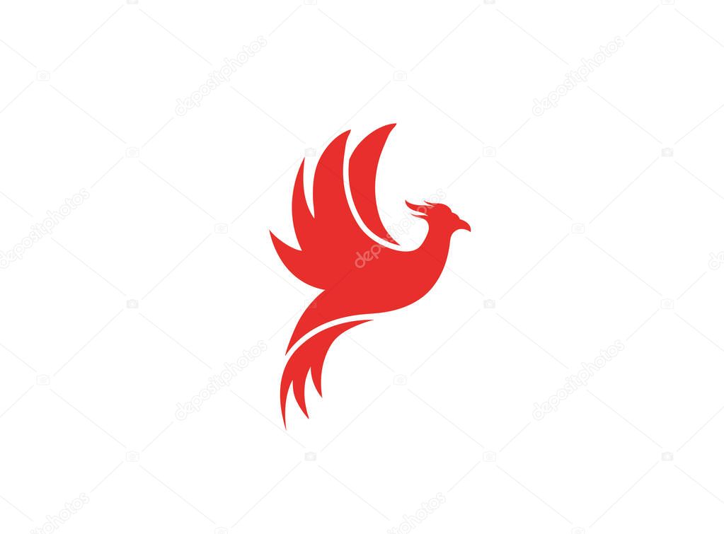 Phoenix bird logo isolated on white background