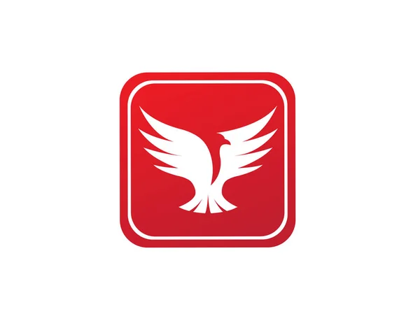 Disegno Logo Aquila Isolato Sfondo Bianco — Vettoriale Stock