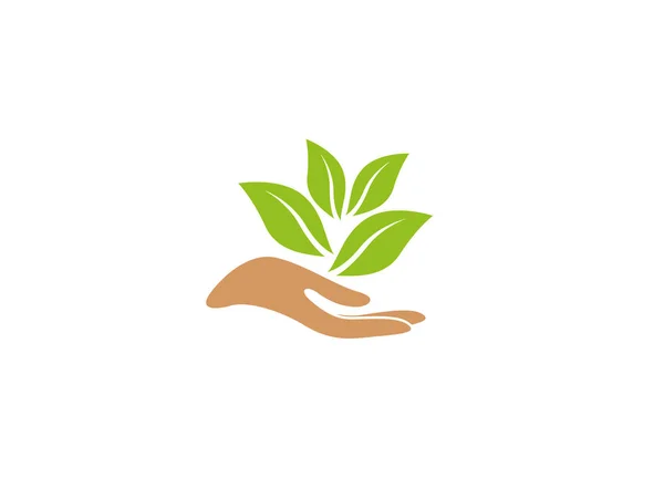 Planta Icono Simple Aislado Sobre Fondo Blanco — Vector de stock