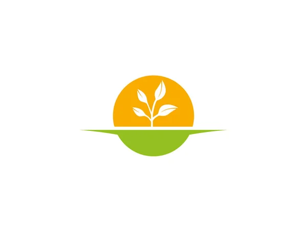 Ikona Proste Roślina Białym Tle — Wektor stockowy
