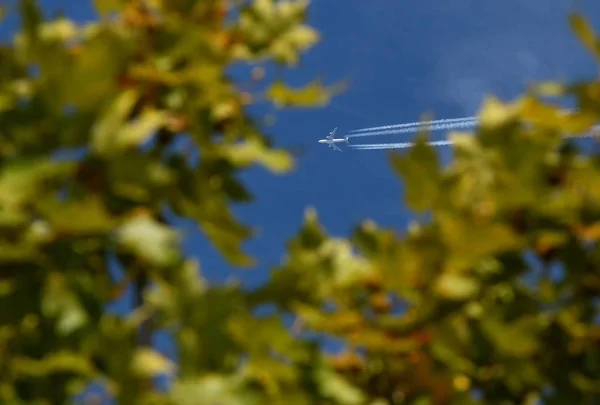 Vliegtuig dat op de lucht vliegt — Stockfoto