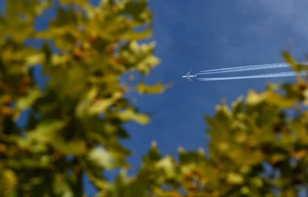Flugzeug fliegt am Himmel — Stockfoto