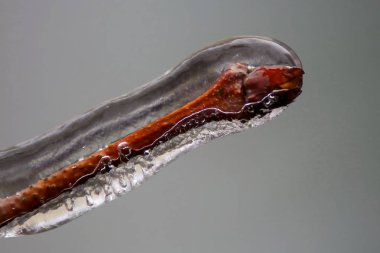 Romanya 'nın Bükreş kentinde kış fırtınası.