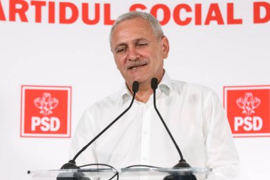 Romanya siyaseti - Liviu Dragnea - Sosyal Demokrat Parti