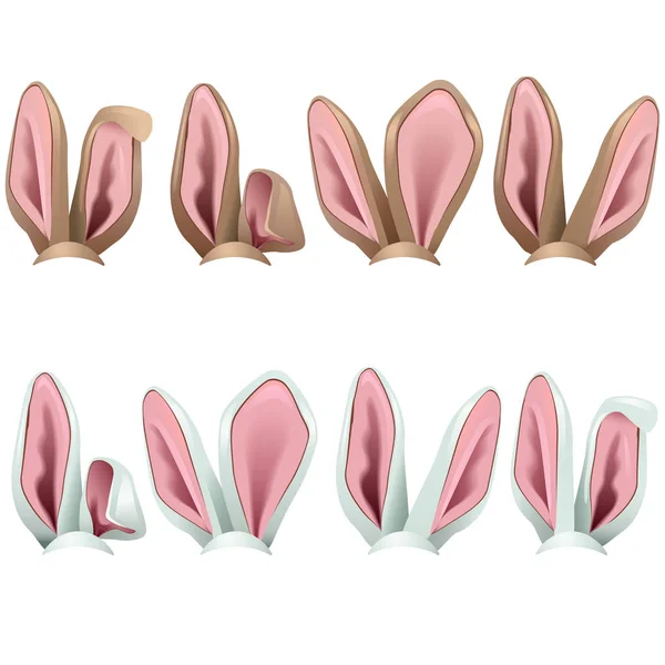 Vector Rabbit Ears Icons — Stock Vector