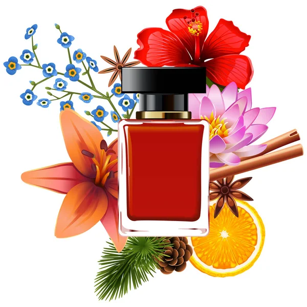 Parfum Vectoriel Avec Ingrédients Isolé Sur Fond Blanc — Image vectorielle