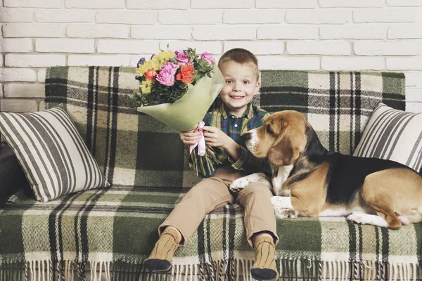 Menino Engraçado Com Buquê Flores Cão Beagle Sofá — Fotografia de Stock