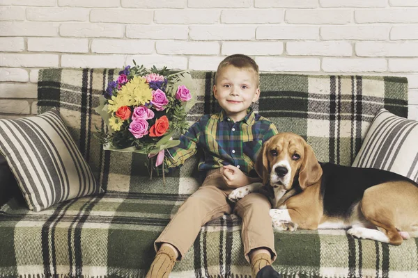 Menino Engraçado Com Buquê Flores Cão Beagle Sofá — Fotografia de Stock