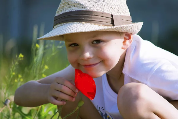 Cute Boy Sniffing Poppy Flower Nature Summer — Stock Photo, Image