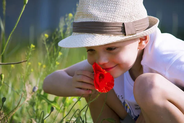 Cute Boy Sniffing Poppy Flower Nature Summer — Stock Photo, Image