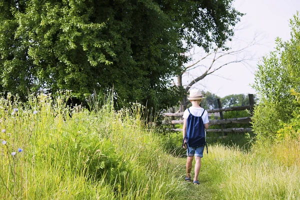 yakışıklı bir sırt çantası ile yalnız doğada bir yaz tatili seyahat