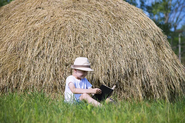 Lindo Niño Está Leyendo Libro Una Pila Paja Hierba Verano — Foto de Stock