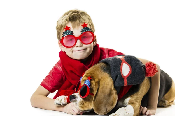 cute boy and funny beagle dog in festive sunglasses on a white background, Christmas