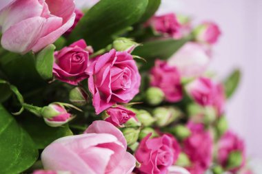 güzel pembe yabani gül ve Pembe Lale buketi arka plan