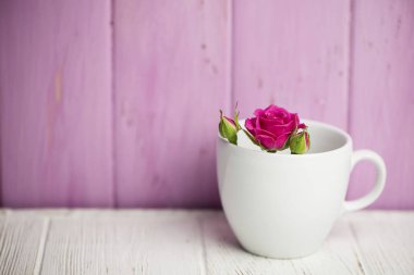 vahşi pembe arka plan beyaz bir kaba ahşap bir arka plan üzerinde yükseldi.