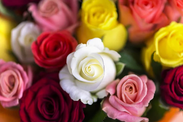 Piękne Tło Wielokolorowych Róż Bukiet — Zdjęcie stockowe