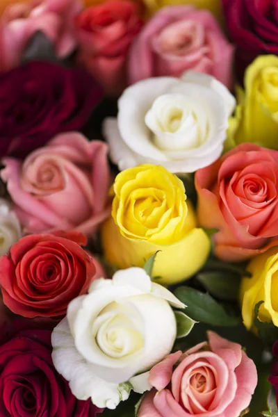 Sfondo Bel Bouquet Multicolore Rosso Rosa Giallo Rose Bianche Vacanza — Foto Stock