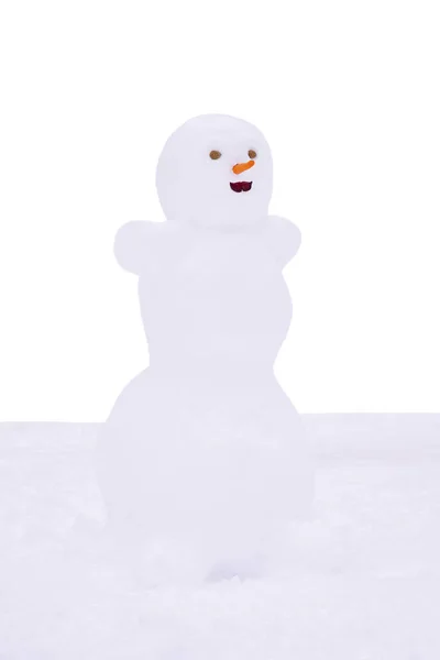 有趣的可爱的雪人用胡萝卜鼻子站在雪在冬天 — 图库照片