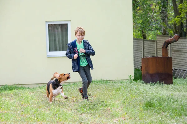 Feliz Engraçado Cão Beagle Com Menino Correr Jardim Natureza — Fotografia de Stock