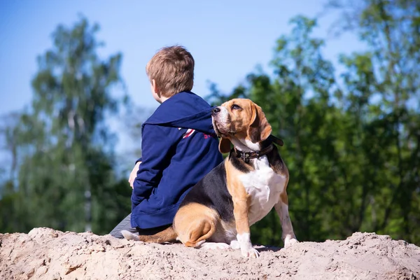 Menino Seu Amigo Engraçado Cão Beagle Livre Verão — Fotografia de Stock
