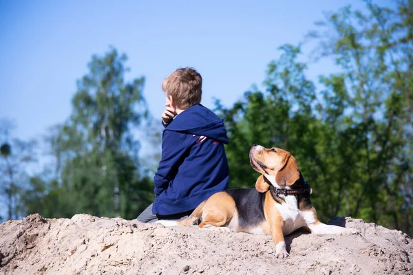 Junge Und Sein Freund Lustiger Beagle Hund Sommer Draußen — Stockfoto
