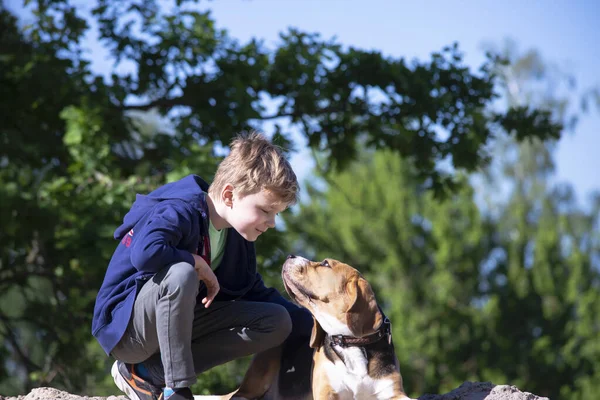 Menino Seu Amigo Engraçado Cão Beagle Livre Verão — Fotografia de Stock