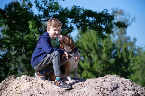 Menino Seu Amigo Engraçado Cão Beagle Livre Verão — Fotografia de Stock