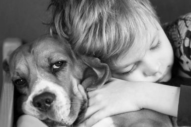 Çocuk rüyasında arkadaşı av köpeğini kucaklıyor.