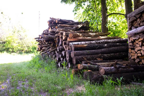 Впали Дерева Дров Селі Влітку — стокове фото