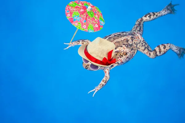 선글라스를 귀엽고 귀여운 개구리와 배경의 밀짚모자 추상적 — 스톡 사진