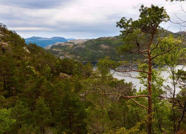 Norveç 'teki Lysefjord 'un etkileyici manzarası