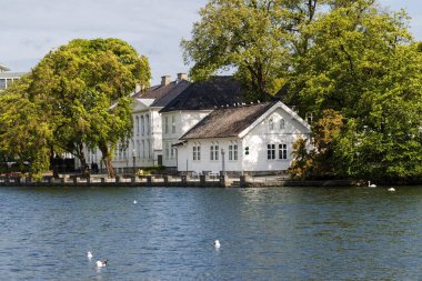 Norveç 'teki beyaz ve güzel Stavanger kasabası
