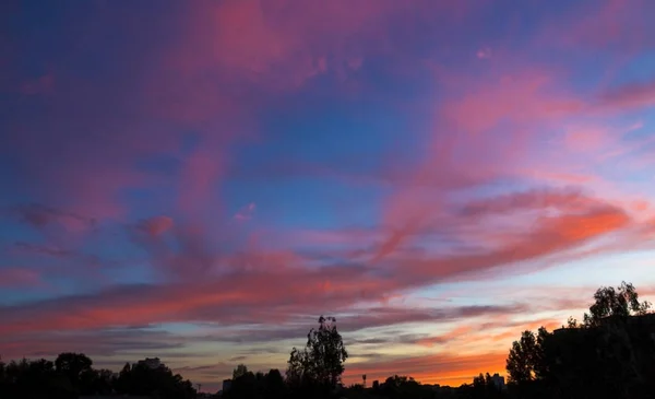 Colorful purple sunset background in sky