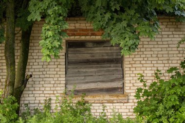 terk edilmiş bir binada pencere kadar tahtalı