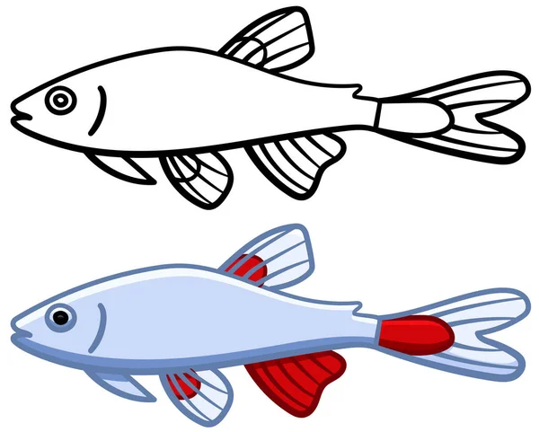 Tetra Bloodfin en version colorée et en version ligne — Image vectorielle