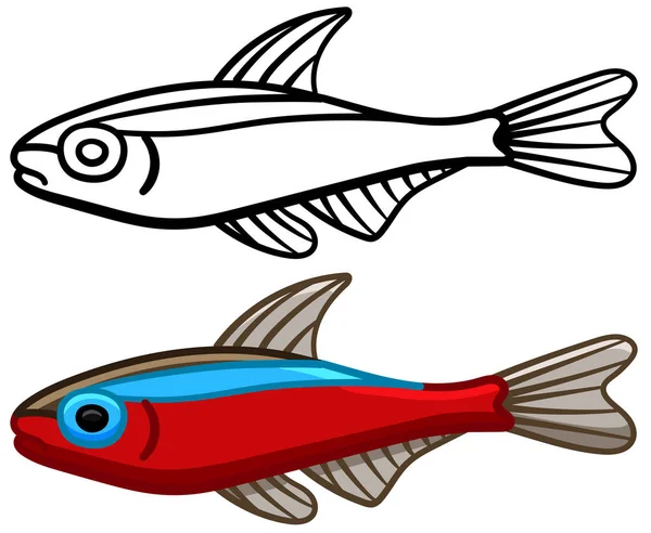 Cardinal tetra poisson en version colorée et en ligne — Image vectorielle