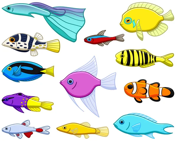 Ensemble de douze poissons tropicaux de couleur différente — Image vectorielle