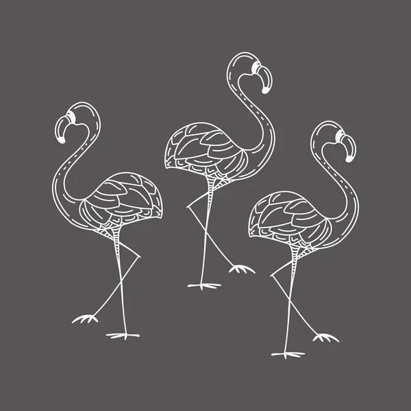 Ilustração com um conjunto de silhuetas de flamingos isoladas sobre fundo cinza —  Vetores de Stock