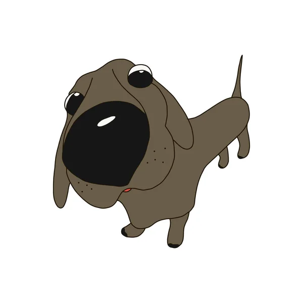 Desenhos animados Vector Ilustração do cão bonito de raça pura Dachshund. Isolado em fundo branco. no estilo dos desenhos animados . — Vetor de Stock