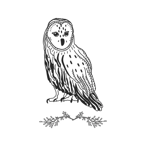 Hibou Graphic Noir Blanc. oiseau forestier dessiné à la main. convient aux tatouages ou à la conception de cartes postales et d'affiches, de tissus et à l'application sur une tasse. — Image vectorielle