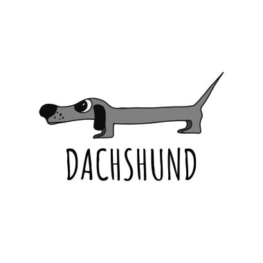 Tatlı Safkan Dachshund Köpeğinin Çizgi Film Vektör İllüstrasyonu. Beyaz arkaplanda izole.