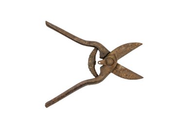 İzole bir arka plan üzerinde eski paslı bahçe nippers