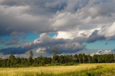 Derin doymuş gökyüzü ile doğal manzara