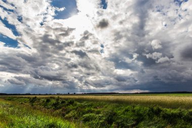 Gökyüzünde doymuş bulutlarla doğal peyzaj