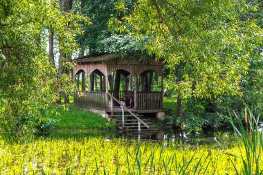 Ağaçlar ve çalılarla çevrili büyümüş bir gölete merdivenli bir pergola.
