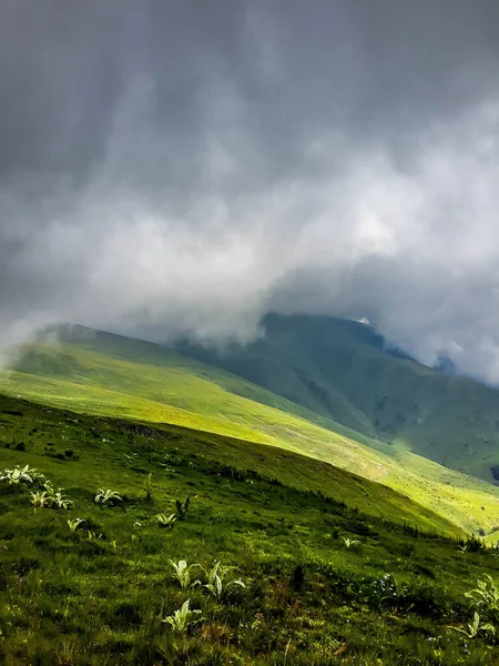 Bulutlu Bir Günde Dağın Tepesinden Bak — Stok fotoğraf