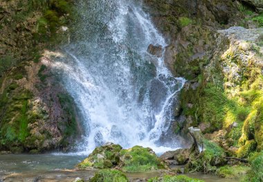 Güneşli bir yaz gününde Sırbistan 'ın Zlatibor kentindeki yeşil bir ormanda güzel bir dağ şelalesi Gostilje.