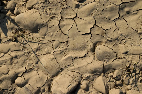 top view cracked soil ground, surface Arid,drought land,Picture of natural disaster. drought land Caused by global warming and deforestation.