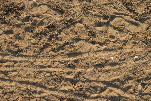 Πατημασιές Παπουτσιών Και Τροχού Ποδηλάτου Στην Άμμο Κοντά Ασπρόμαυρες — Φωτογραφία Αρχείου